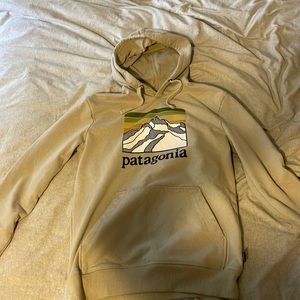 Patagonia thick hoodie